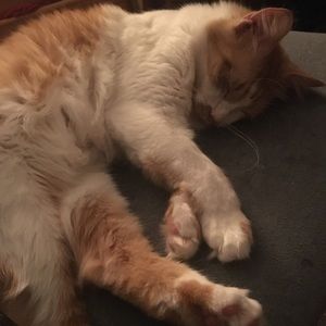 Meet your Posher, Stephany